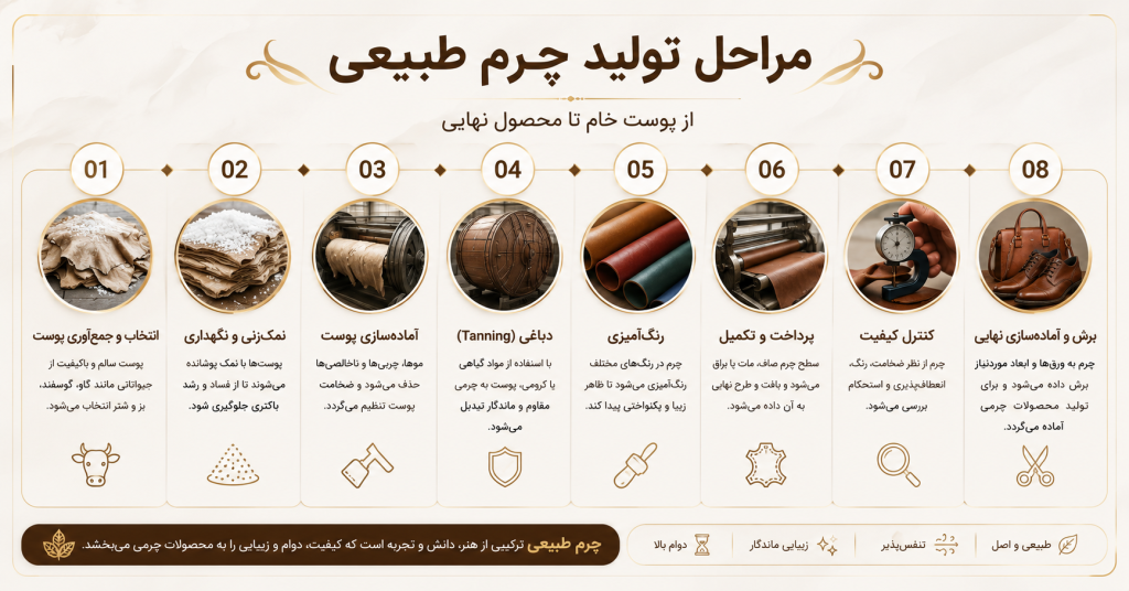 اینفوگرافیک مراحل تولید چرم طبیعی